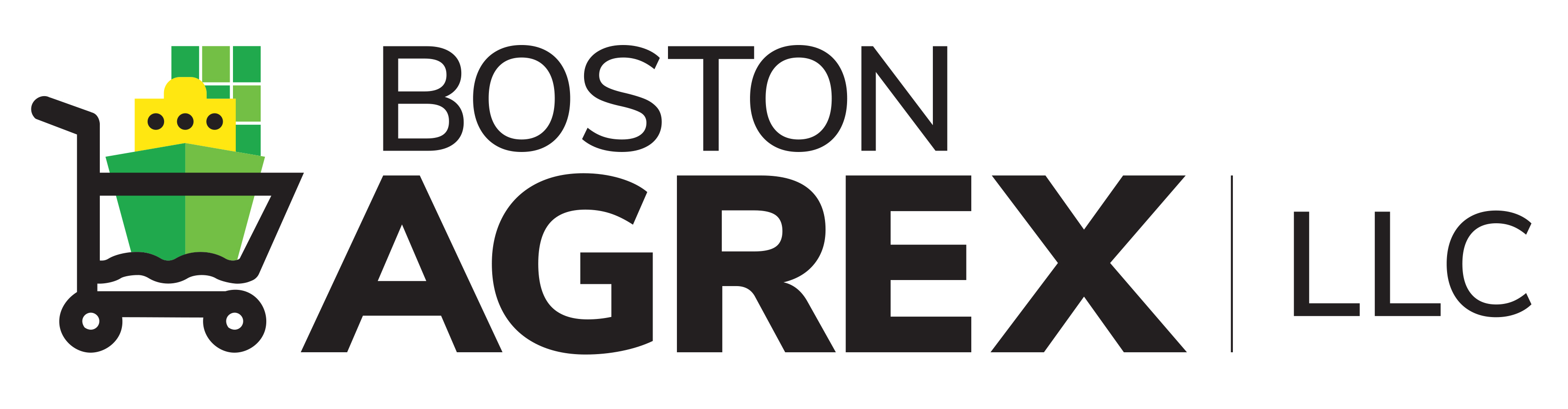 BOSTON AGREX LLC