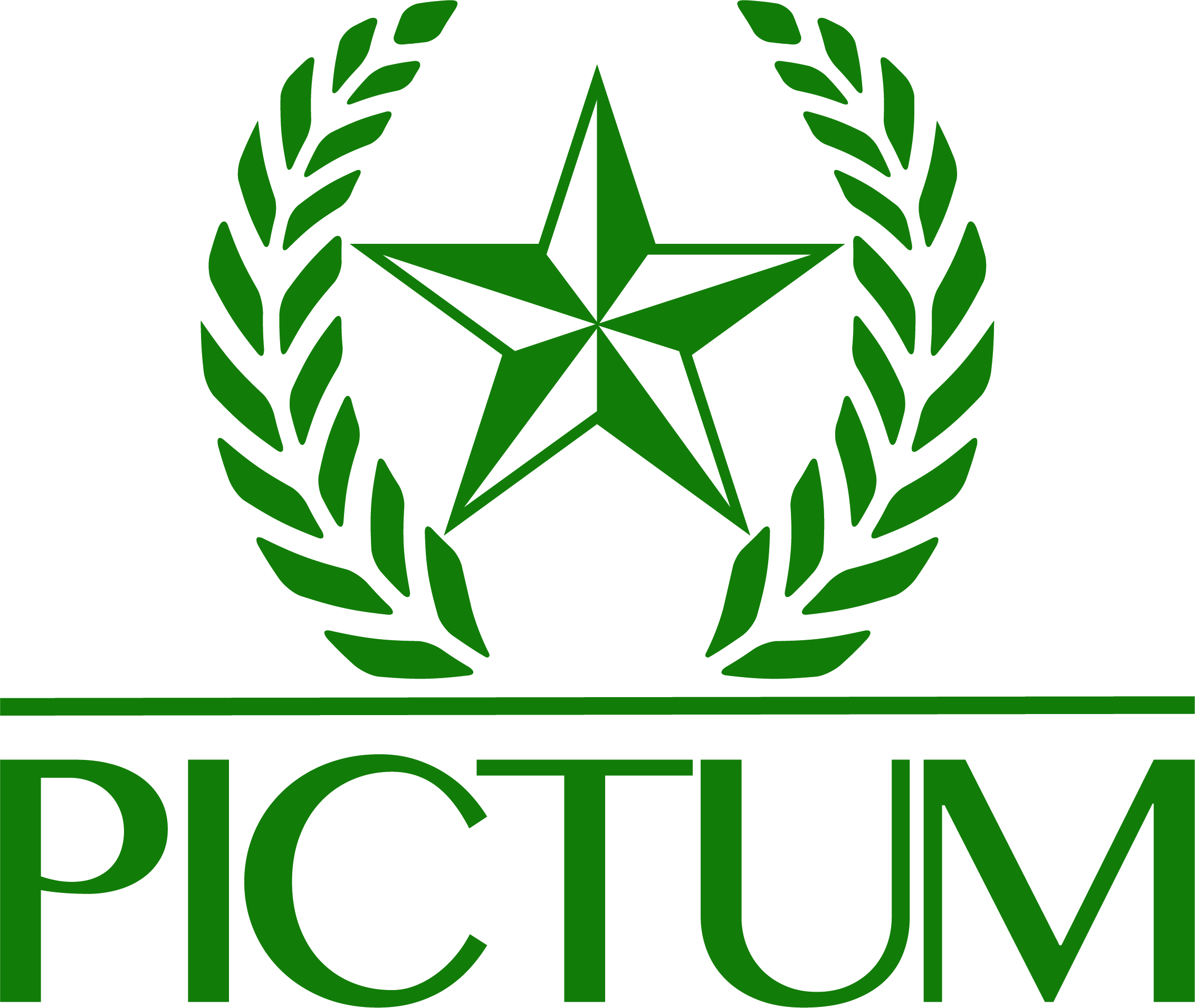 PICTUM LTD CO