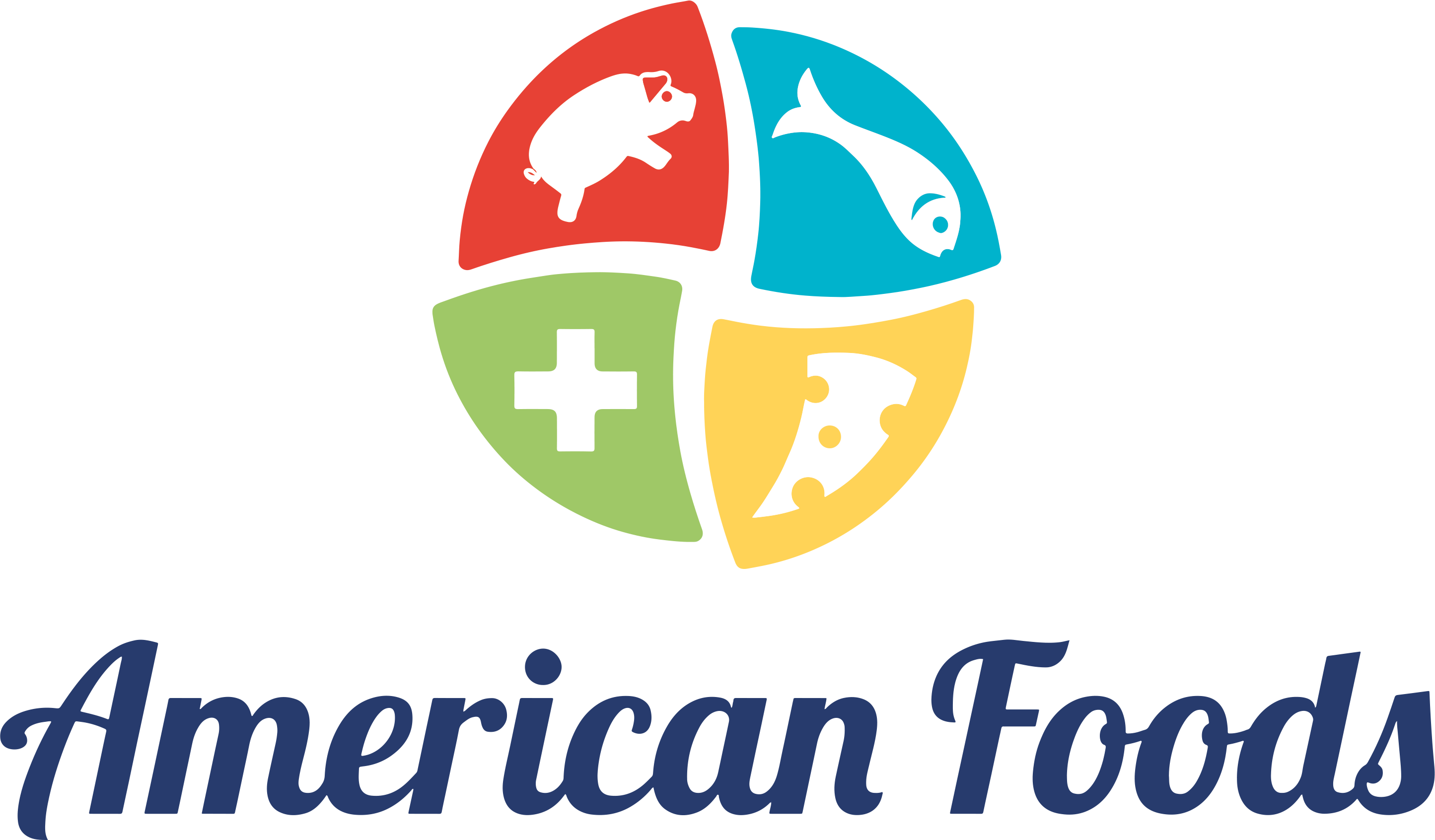 American Foods Internacional inc