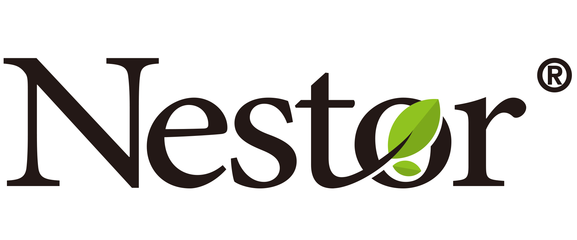 Nestor International Limited