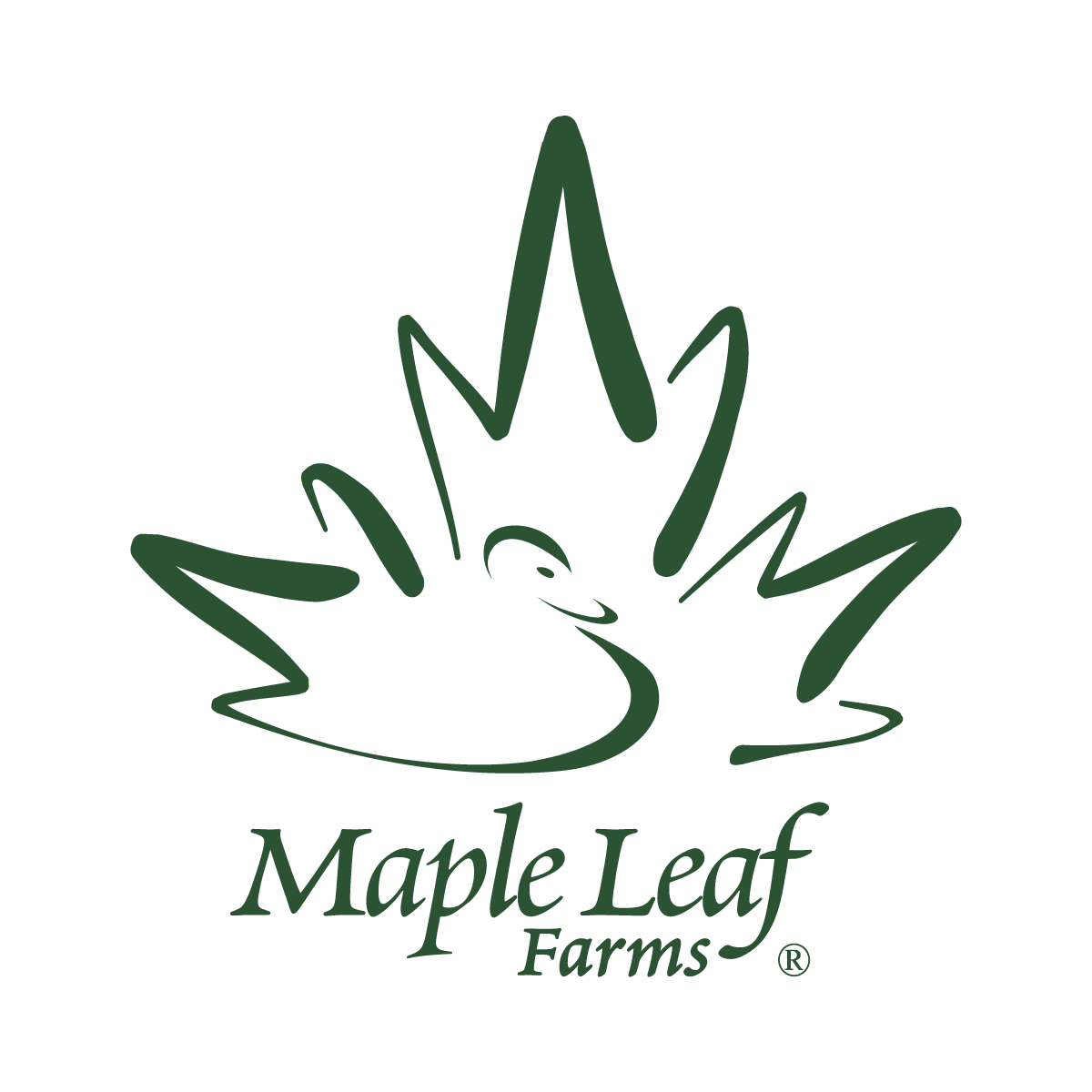 MAPLE LEAF FARMS