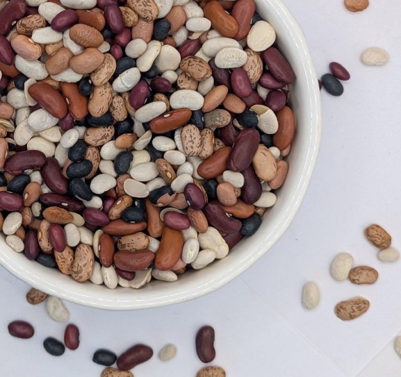 Northern Bean