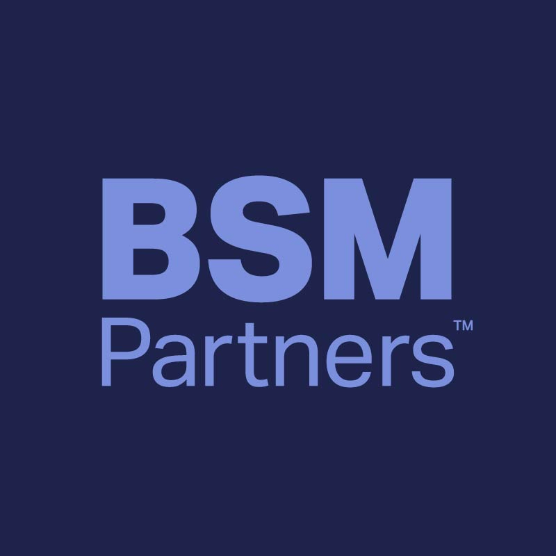 BSM Partners LLC